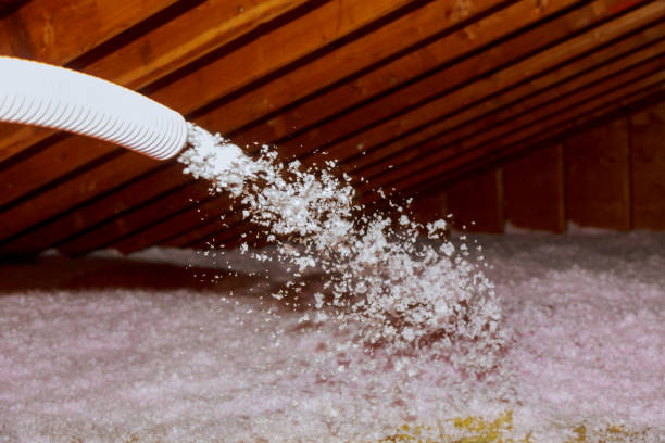 Insulation Inspection Services in Mabscott, WV