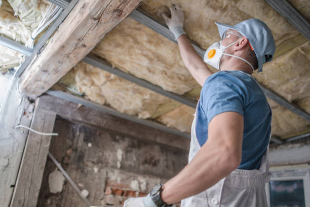 Best Insulation Removal  in Mabscott, WV