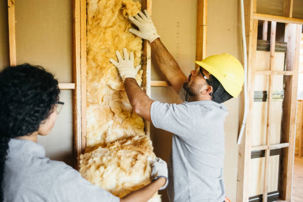 Best Insulation Installation Cost  in Mabscott, WV