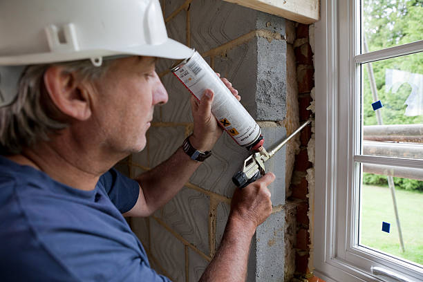 Best Insulation Contractors for Homes  in Mabscott, WV