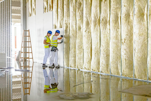 Insulation for Commercial Buildings in Mabscott, WV